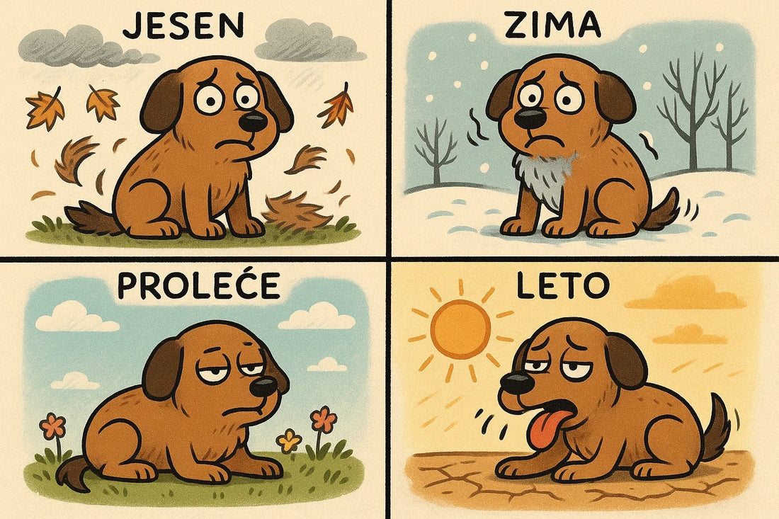 Sezonski problemi ljubimaca – dlaka u proleće, suve šape zimi i još mnogo toga