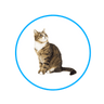 Pet shop D-Atomic® - Sve za kućne ljubimce!