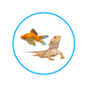 Akvaristika i teraristika